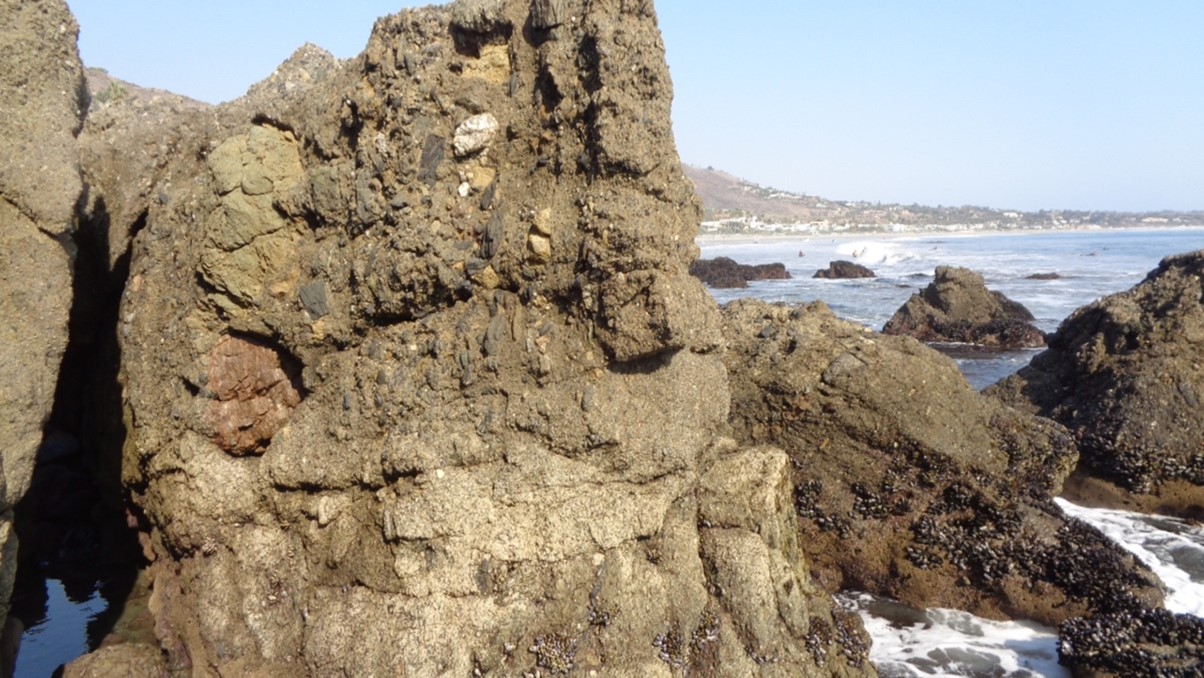 San Onofre Breccia at Lechuza Point on Malibu coast