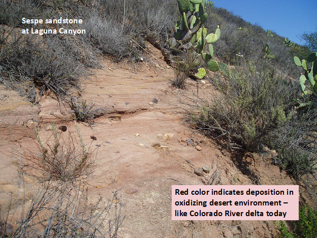 Sespe Sabdstone in Laguna Canyon