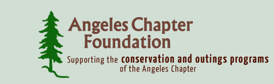 Angeles Chapter Foundation
